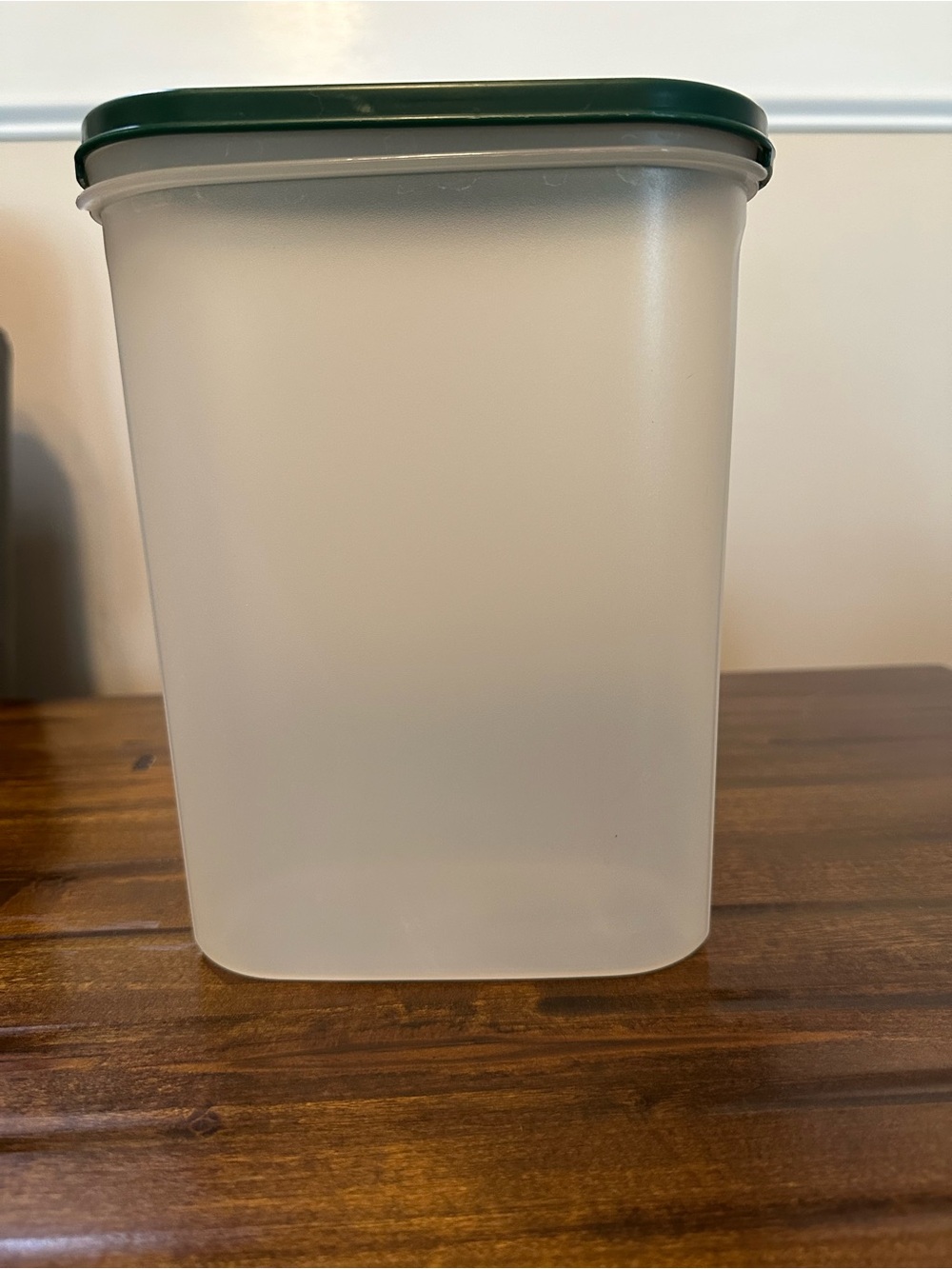 Tupperware Frosted Container with Dark Green Lid